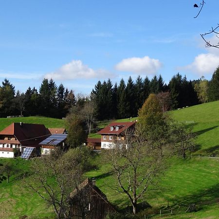 Ferienwohnung Berghansenhof Wolfach Exterior photo