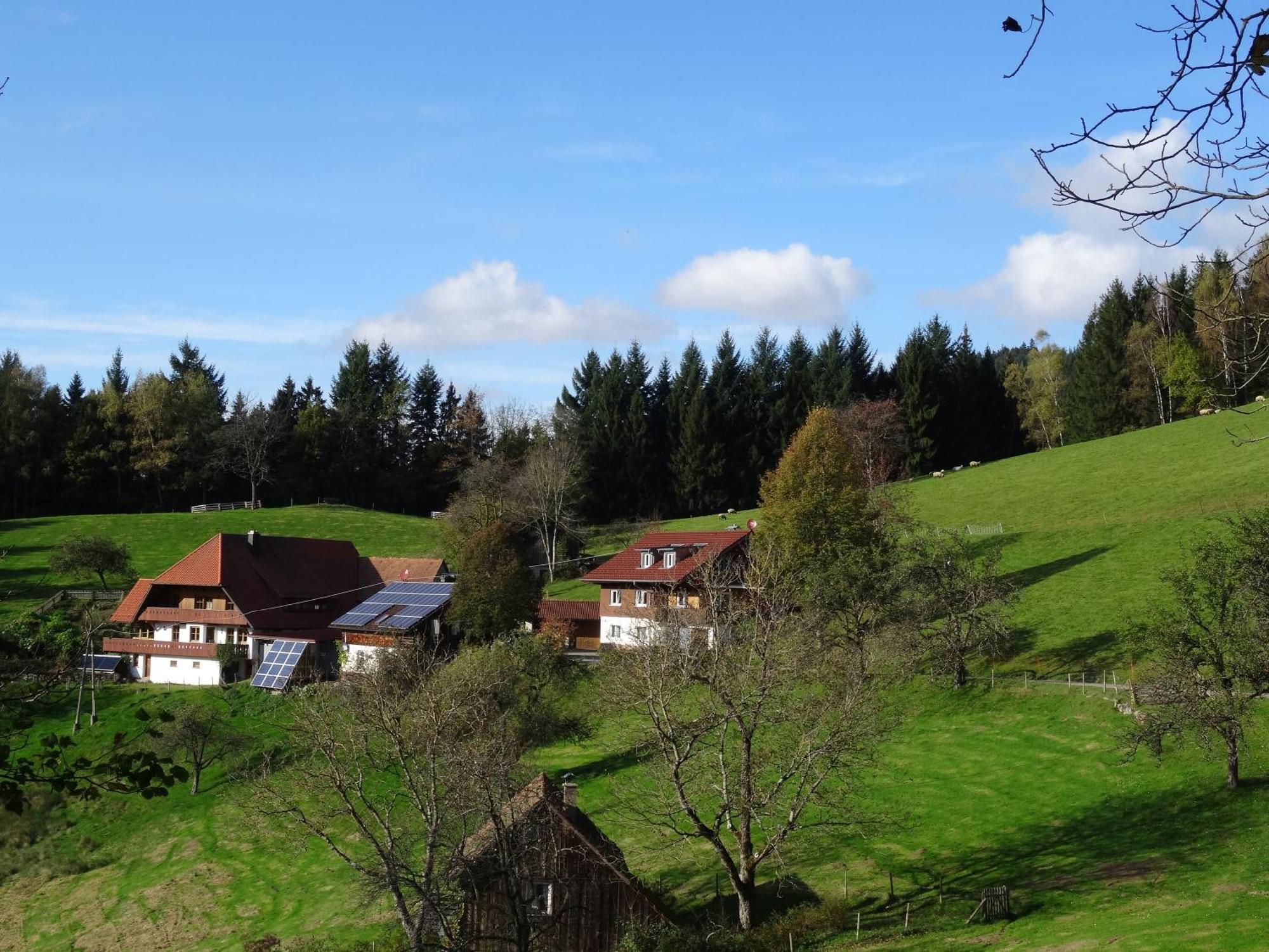 Ferienwohnung Berghansenhof Wolfach Exterior photo